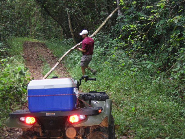 Kurt clears the road