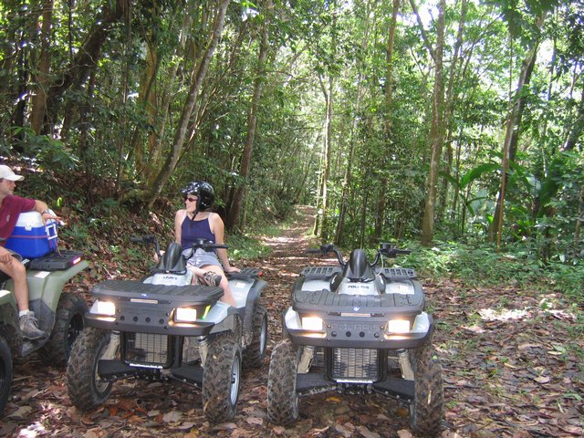 A quick stop in the rain forest