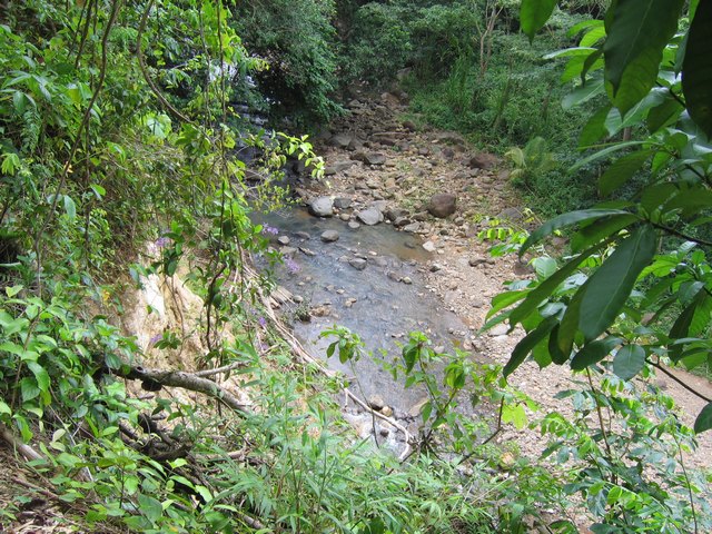 Coming down to the river